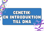 Genetik - En introduktion till DNA - Årskurs 7 - 9