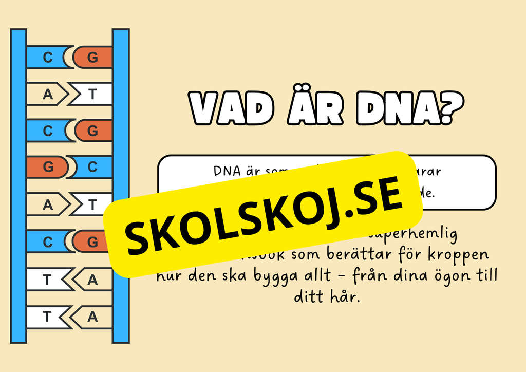 Genetik - En introduktion till DNA - Årskurs 7 - 9