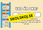 Genetik - En introduktion till DNA - Årskurs 7 - 9