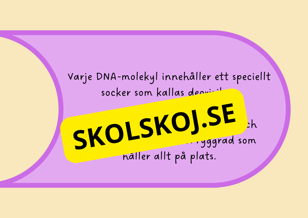Genetik - En introduktion till DNA - Årskurs 7 - 9