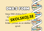 Genetik - En introduktion till DNA - Årskurs 7 - 9