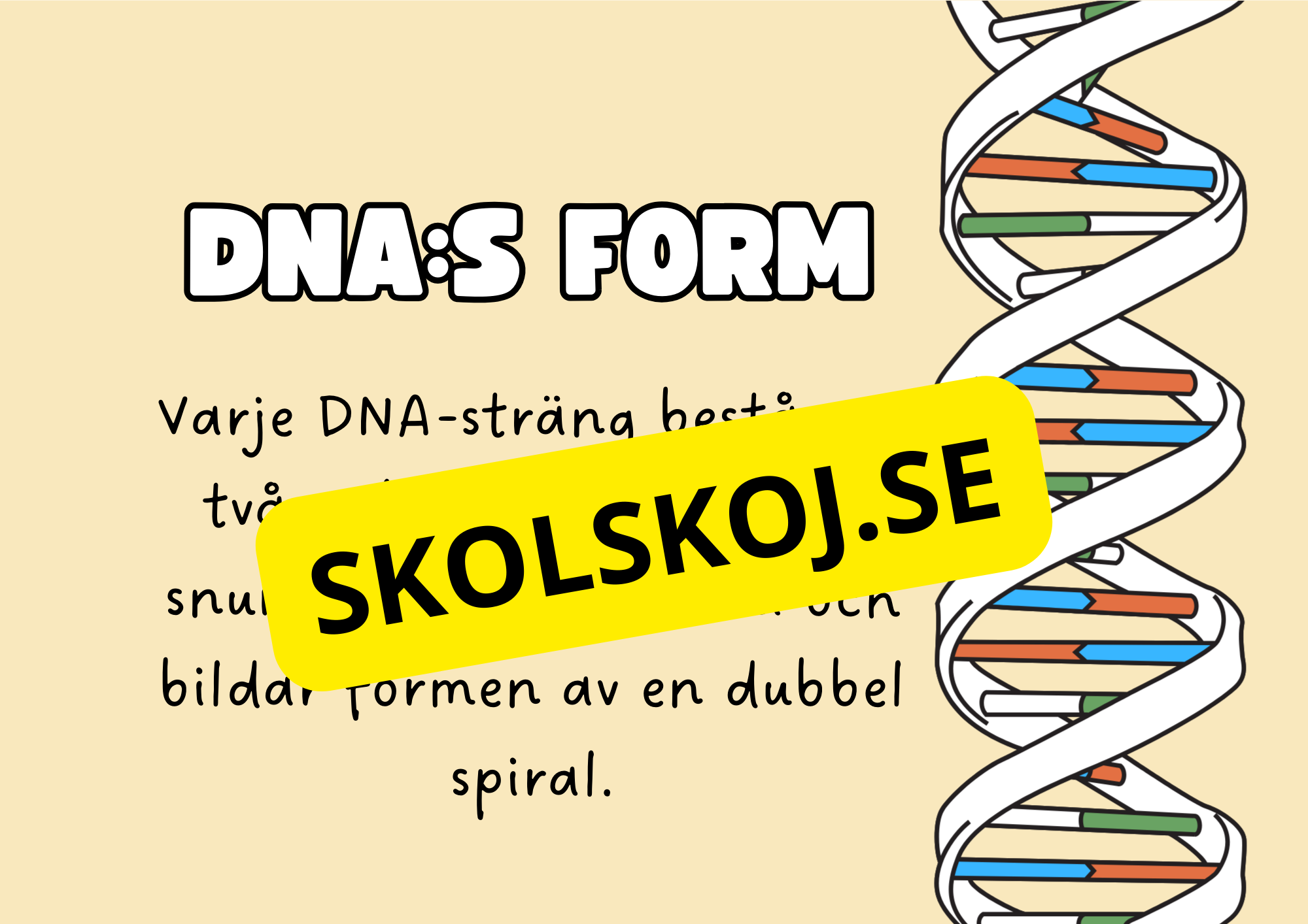 Genetik - En introduktion till DNA - Årskurs 7 - 9