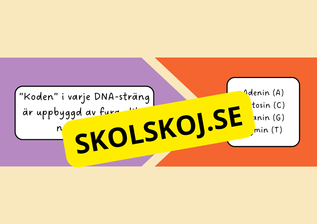 Genetik - En introduktion till DNA - Årskurs 7 - 9