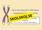 Genetik - En introduktion till DNA - Årskurs 7 - 9