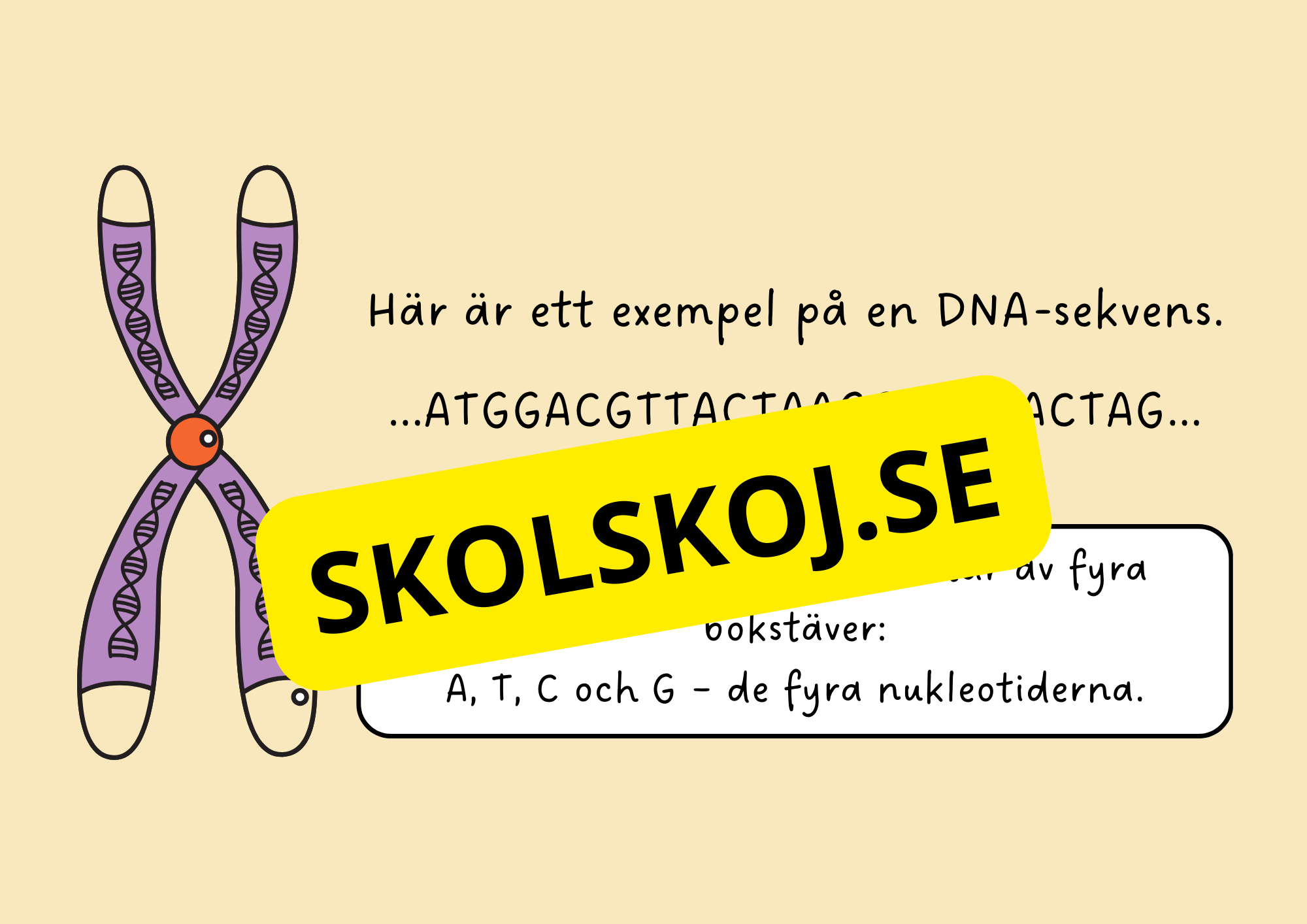 Genetik - En introduktion till DNA - Årskurs 7 - 9