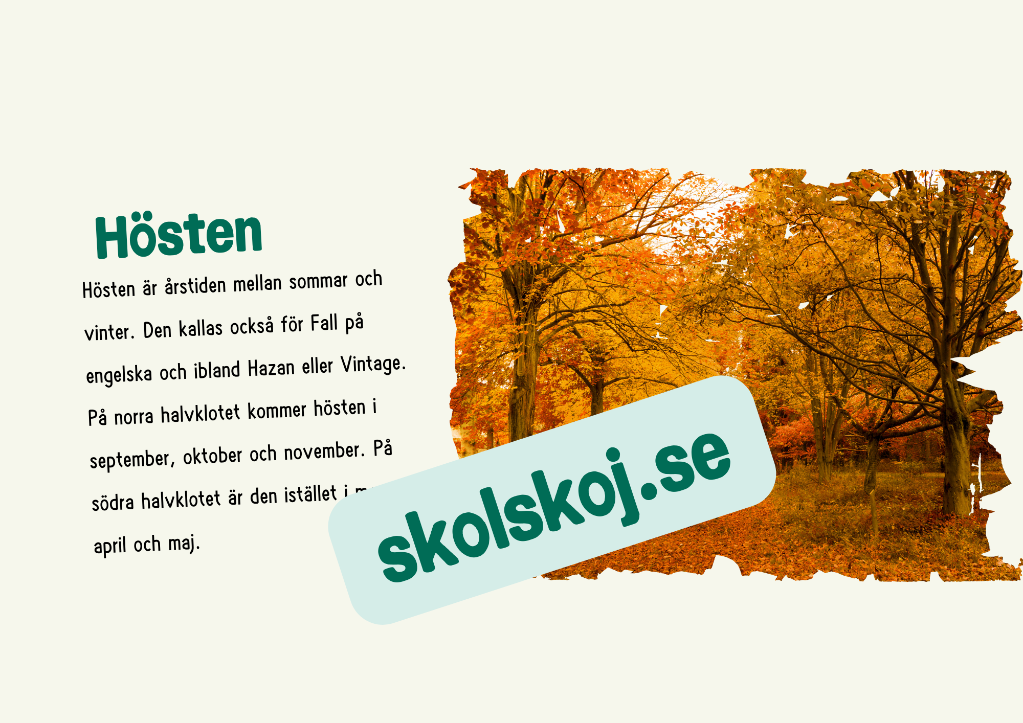 Årstiderna - Häfte
