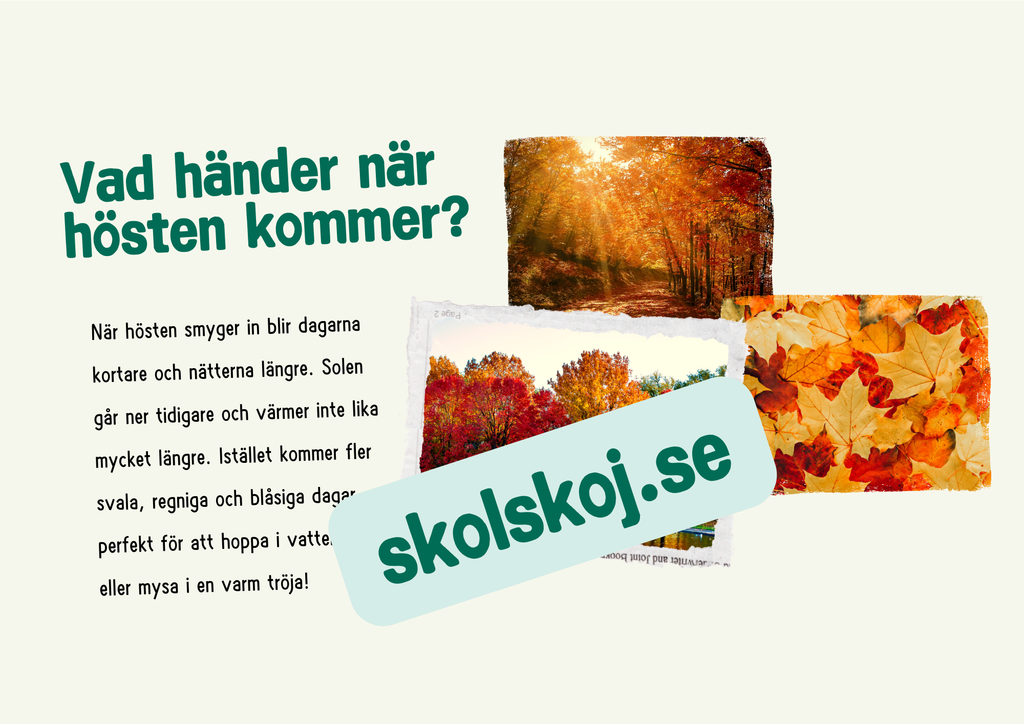 Årstiderna - Häfte