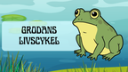 Grodans livscykel - Presentation