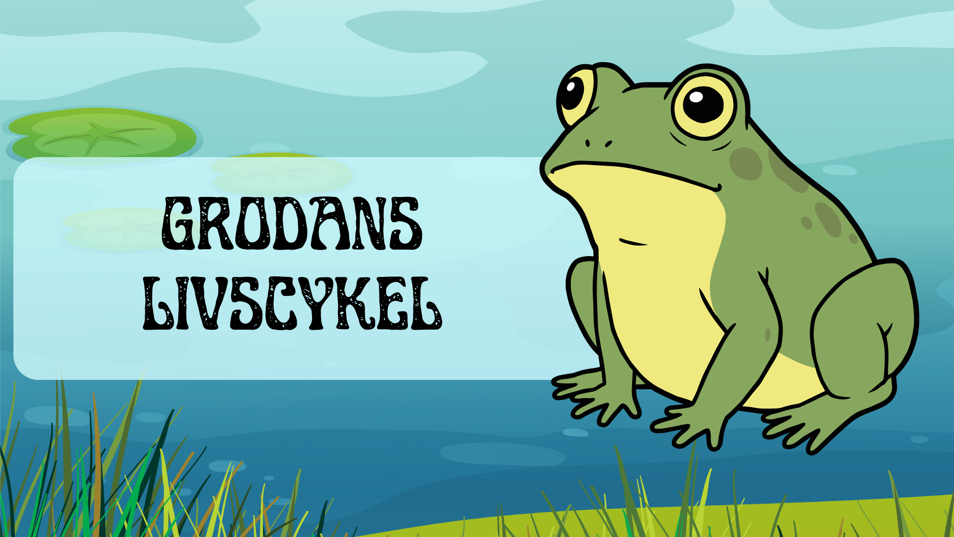 Grodans livscykel - Presentation