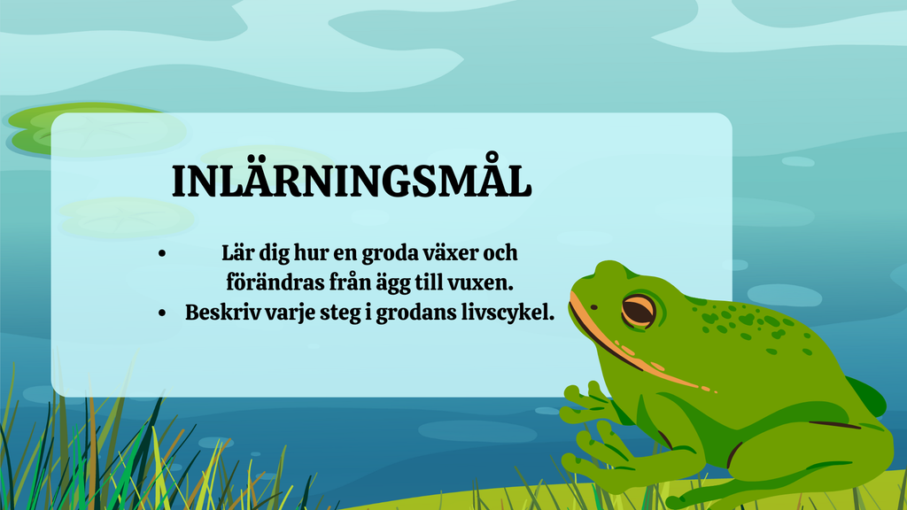 Grodans livscykel - Presentation