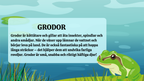 Grodans livscykel - Presentation