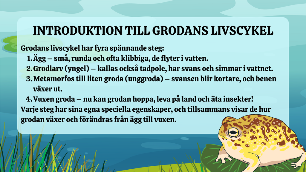 Grodans livscykel - Presentation