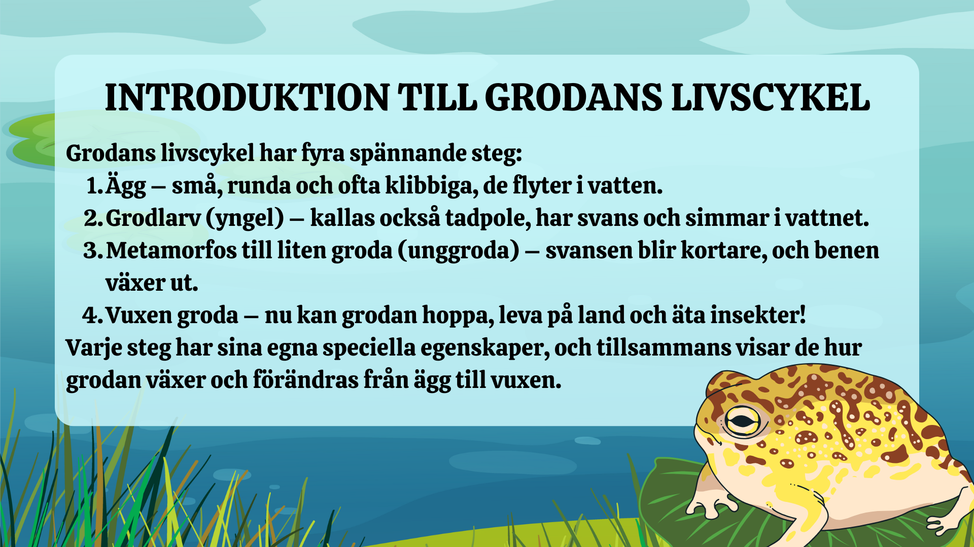 Grodans livscykel - Presentation