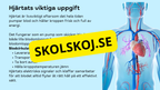 Så fungerar hjärtat – Presentation och frågor