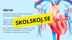 Så fungerar hjärtat – Presentation och frågor