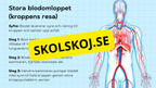 Så fungerar hjärtat – Presentation och frågor
