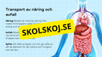 Så fungerar hjärtat – Presentation och frågor