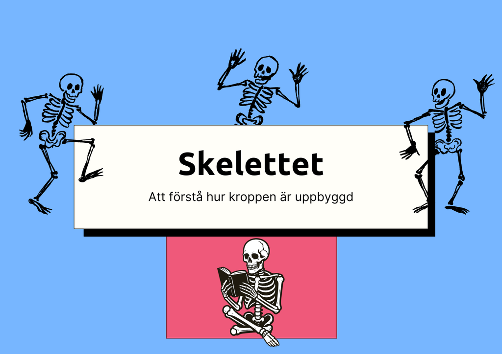 Skelettet - Att förstå hur kroppen är uppbyggd - Årskurs 7 - 9