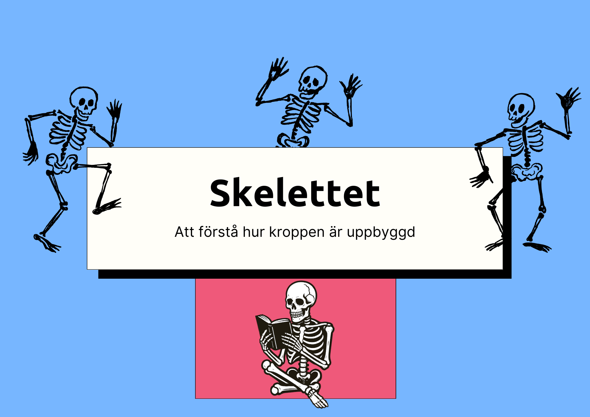 Skelettet - Att förstå hur kroppen är uppbyggd - Årskurs 7 - 9