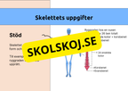 Skelettet - Att förstå hur kroppen är uppbyggd - Årskurs 7 - 9