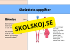 Skelettet - Att förstå hur kroppen är uppbyggd - Årskurs 7 - 9