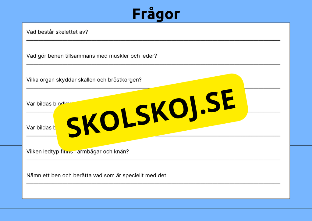 Skelettet - Att förstå hur kroppen är uppbyggd - Årskurs 7 - 9