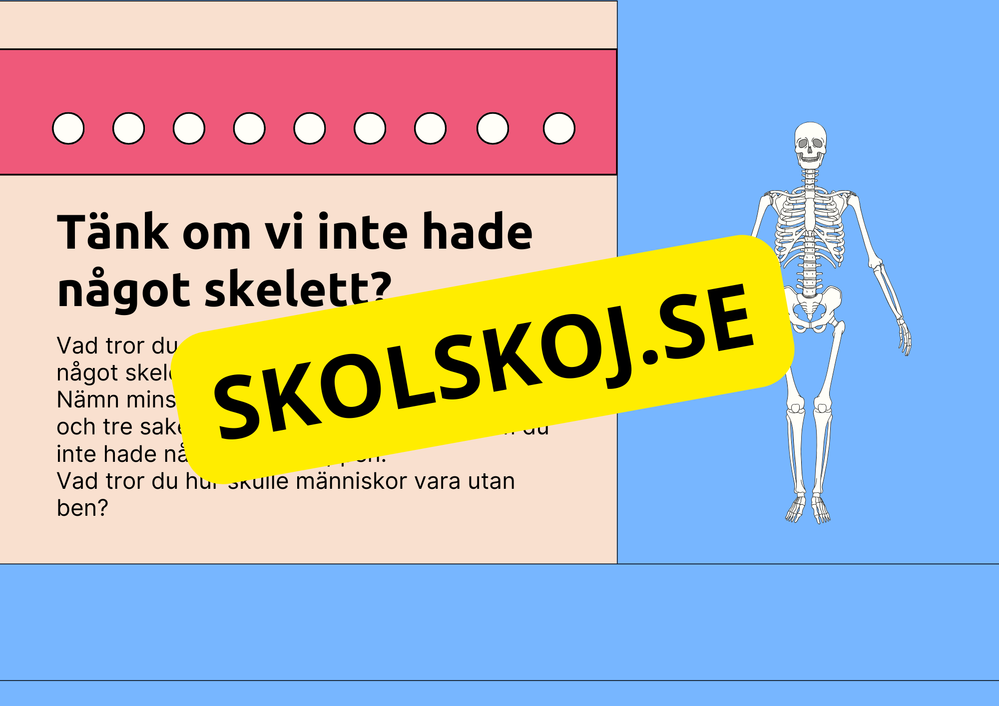 Skelettet - Att förstå hur kroppen är uppbyggd - Årskurs 7 - 9
