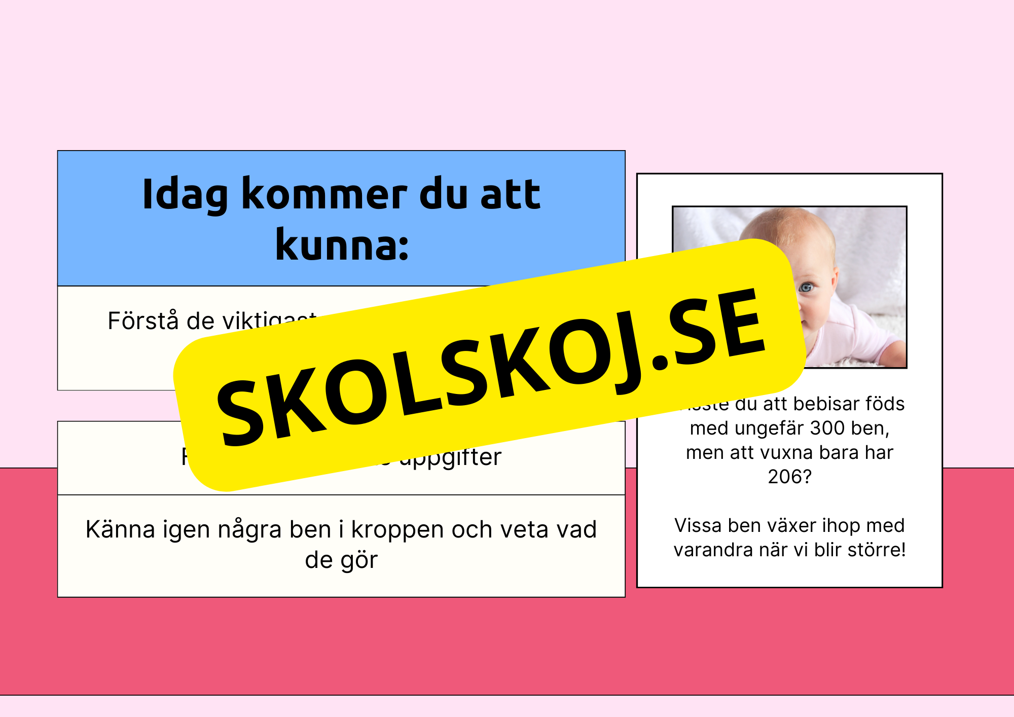 Skelettet - Att förstå hur kroppen är uppbyggd - Årskurs 7 - 9