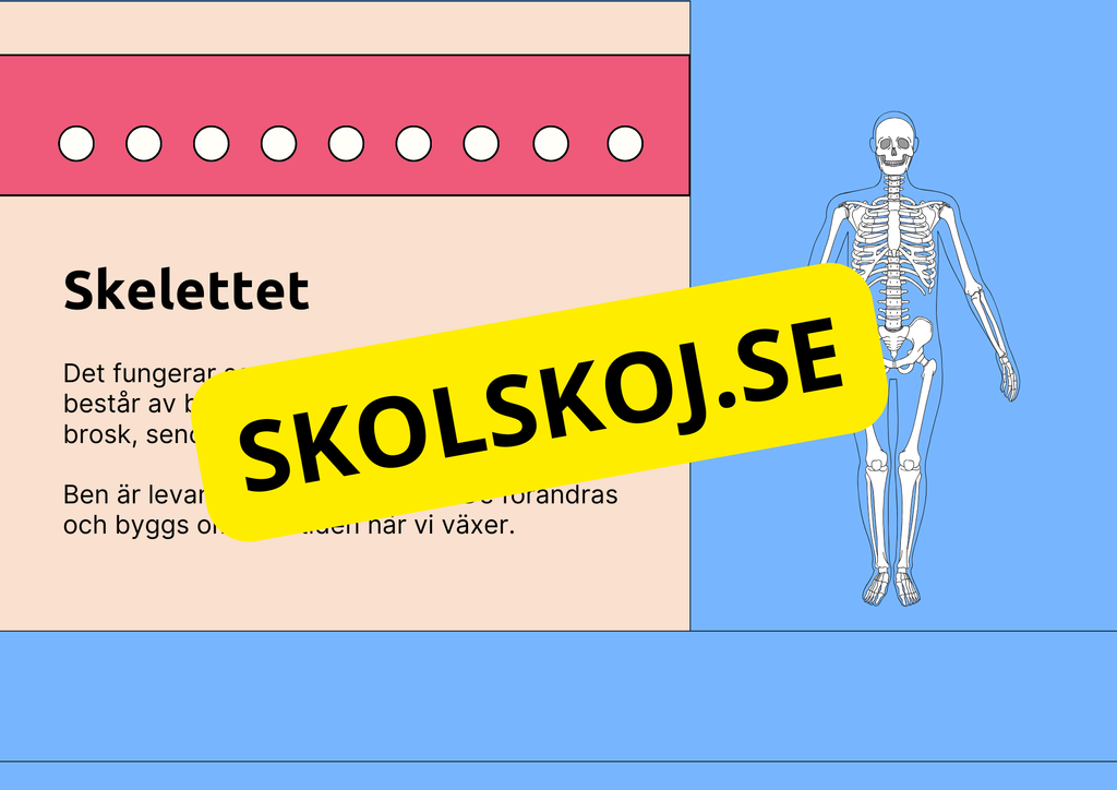 Skelettet - Att förstå hur kroppen är uppbyggd - Årskurs 7 - 9