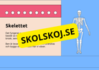 Skelettet - Att förstå hur kroppen är uppbyggd - Årskurs 7 - 9