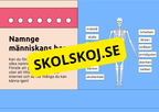 Skelettet - Att förstå hur kroppen är uppbyggd - Årskurs 7 - 9