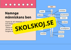 Skelettet - Att förstå hur kroppen är uppbyggd - Årskurs 7 - 9