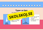Skelettet - Att förstå hur kroppen är uppbyggd - Årskurs 7 - 9