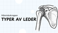 Typer av leder - Presentation och frågor
