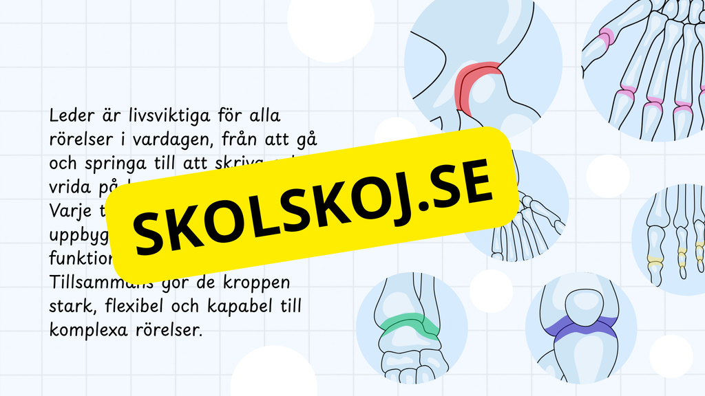 Typer av leder - Presentation och frågor
