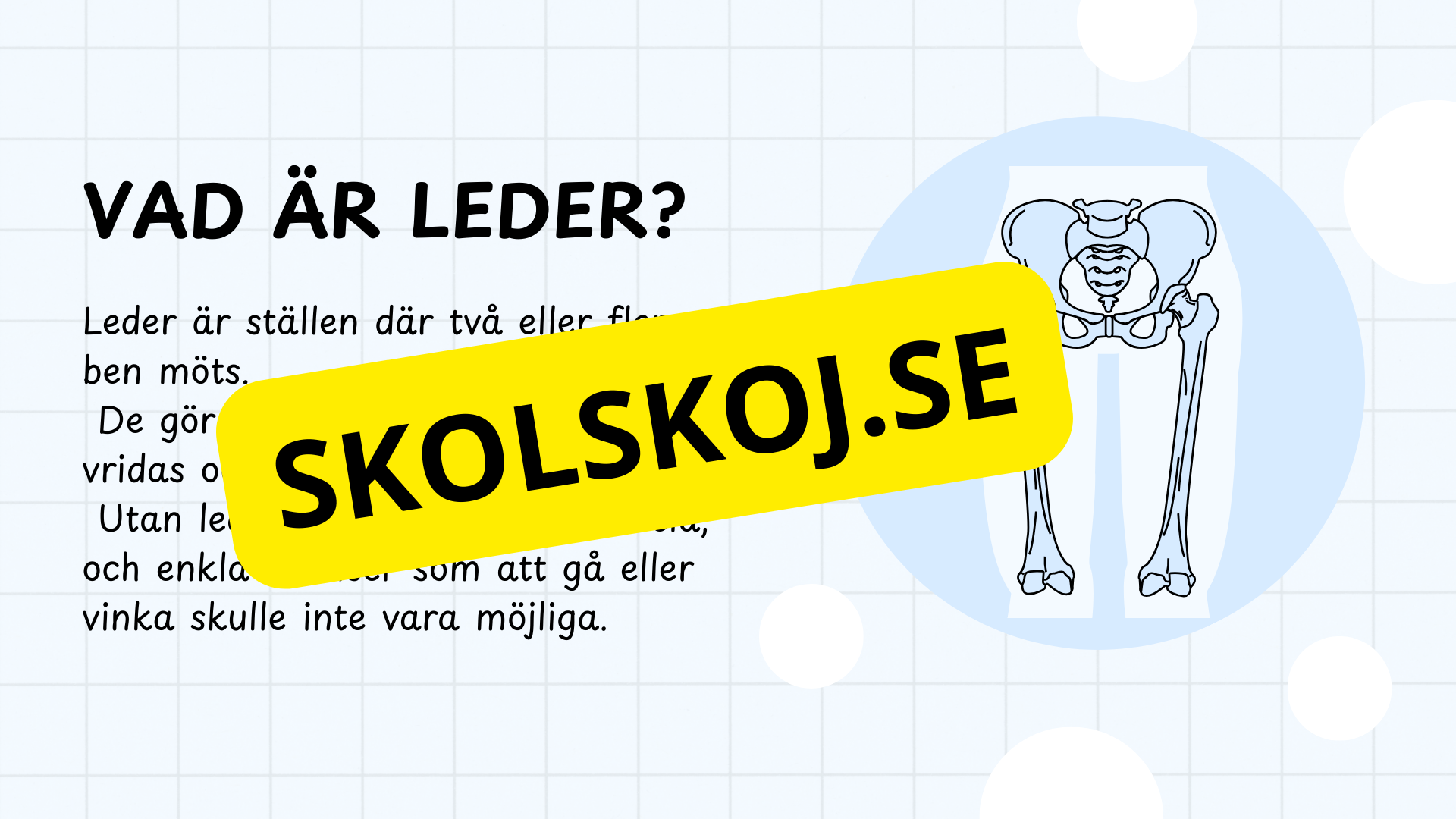 Typer av leder - Presentation och frågor