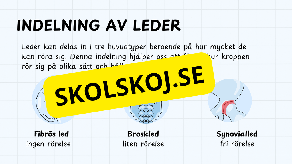 Typer av leder - Presentation och frågor