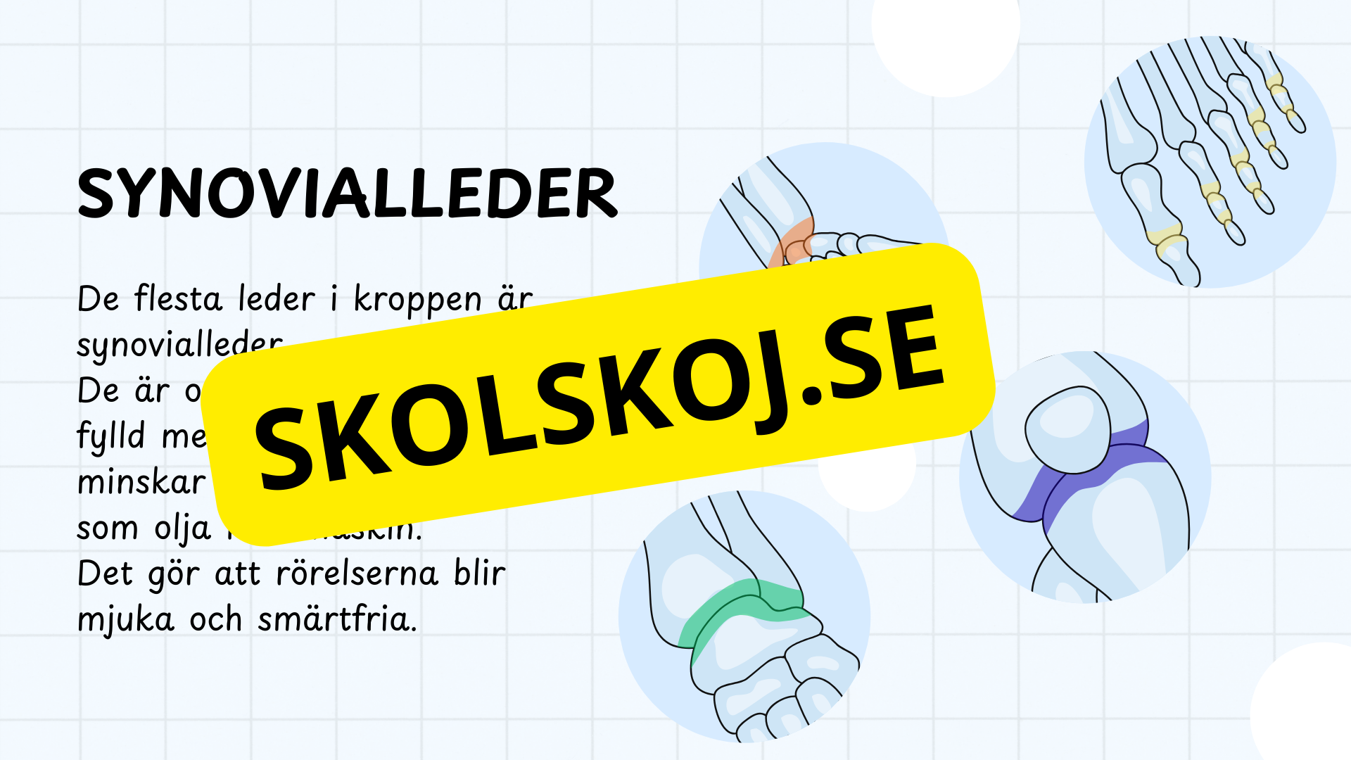 Typer av leder - Presentation och frågor