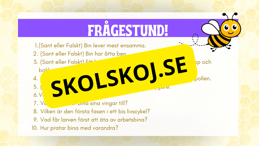 Allt om bin - Presentation + frågor
