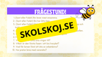 Allt om bin - Presentation + frågor