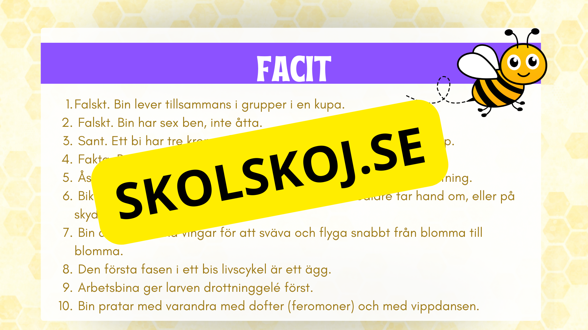 Allt om bin - Presentation + frågor
