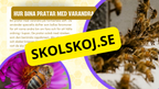 Allt om bin - Presentation + frågor